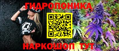 шишки Усть-Джегута