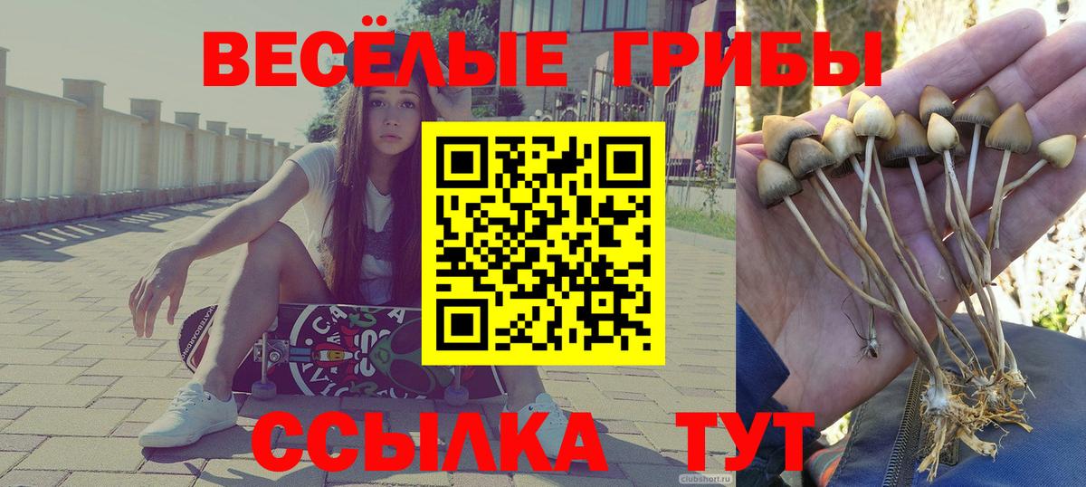 A PVP Михайловск