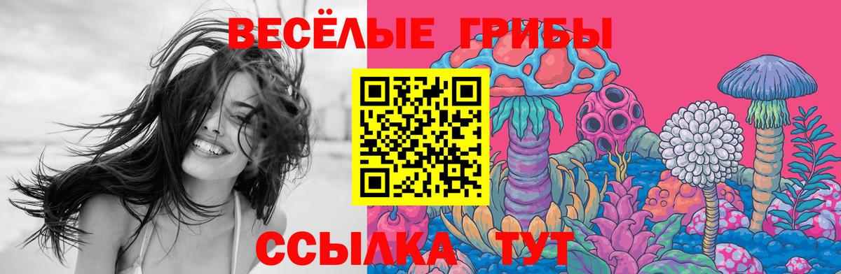 Псилоцибиновые грибы Psilocybe Михайловск